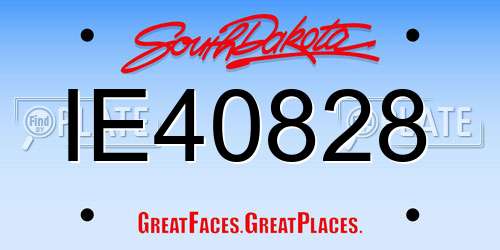 IE40828 South Dakota License Plate