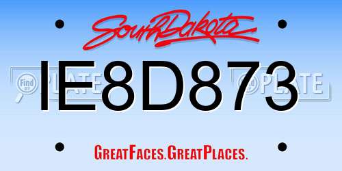 IE8D873 South Dakota License Plate