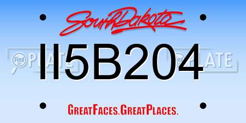 II5B204 South Dakota License Plate