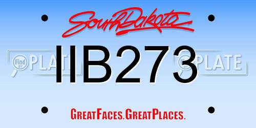 IIB273 South Dakota License Plate