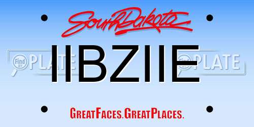 IIBZIIE South Dakota License Plate
