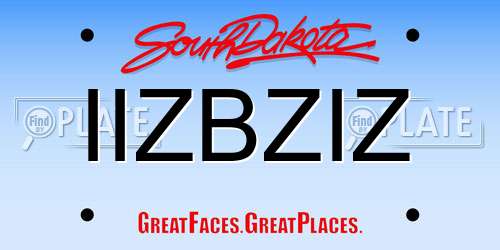 IIZBZIZ South Dakota License Plate