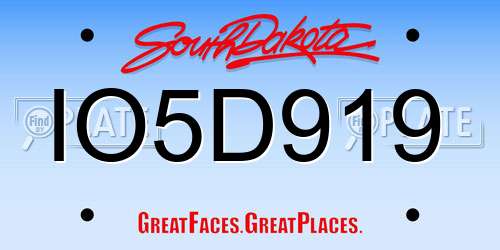 IO5D919 South Dakota License Plate