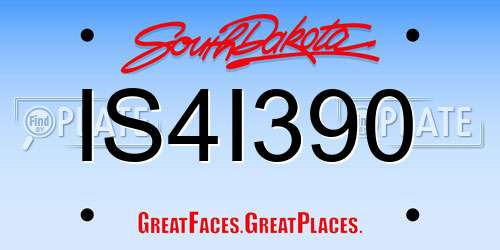 IS4I390 South Dakota License Plate