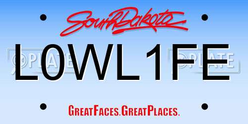L0WL1FE South Dakota License Plate