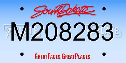 M208283 South Dakota License Plate
