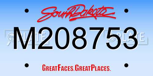 M208753 South Dakota License Plate