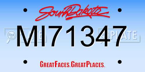 MI71347 South Dakota License Plate
