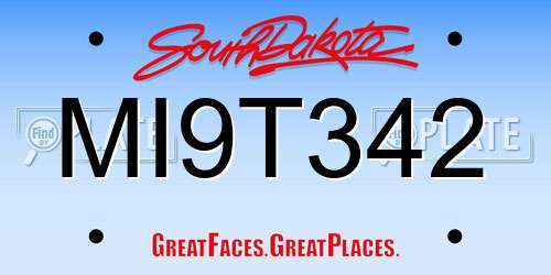 MI9T342 South Dakota License Plate