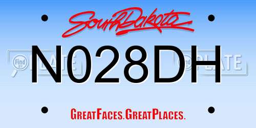 N028DH South Dakota License Plate