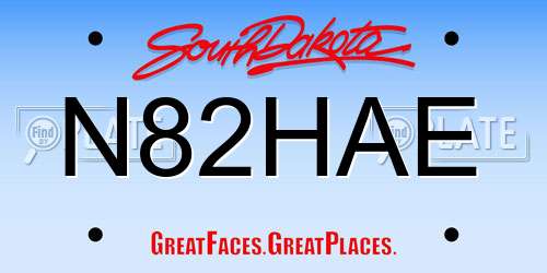 N82HAE South Dakota License Plate