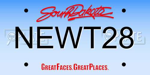 NEWT28 South Dakota License Plate