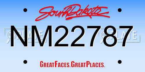 NM22787 South Dakota License Plate