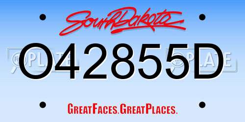 O42855D South Dakota License Plate