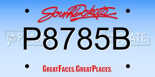 P8785B South Dakota License Plate