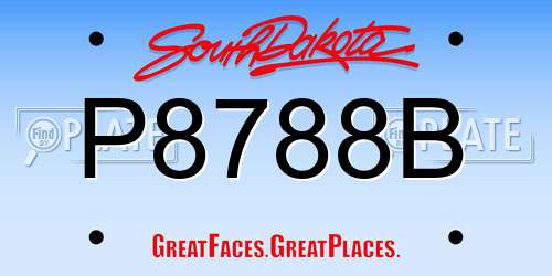 P8788B South Dakota License Plate