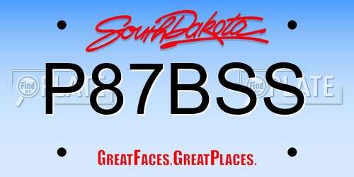 P87BSS South Dakota License Plate