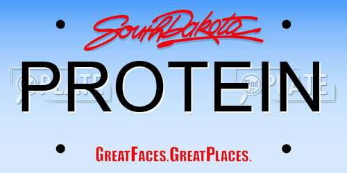 PROTEIN South Dakota License Plate