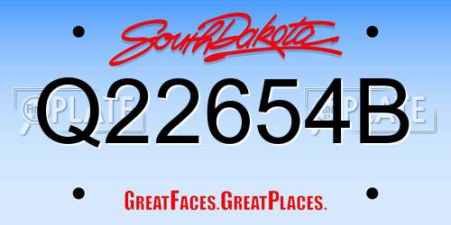 Q22654B South Dakota License Plate