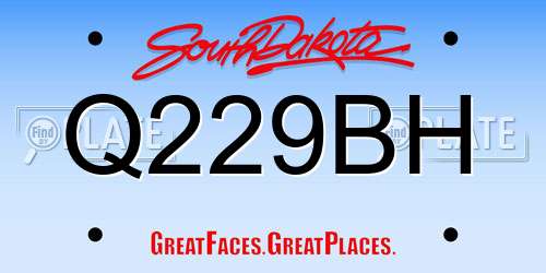 Q229BH South Dakota License Plate