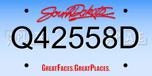 Q42558D South Dakota License Plate