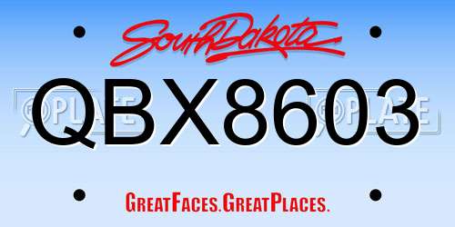 QBX8603 South Dakota License Plate