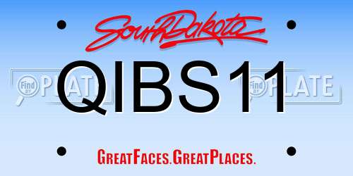 QIBS11 South Dakota License Plate