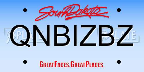 QNBIZBZ South Dakota License Plate