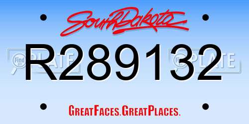 R289132 South Dakota License Plate