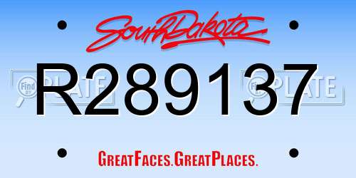 R289137 South Dakota License Plate