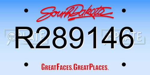 R289146 South Dakota License Plate