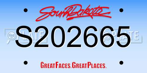 S202665 South Dakota License Plate