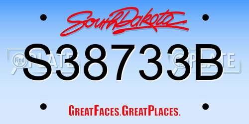 S38733B South Dakota License Plate