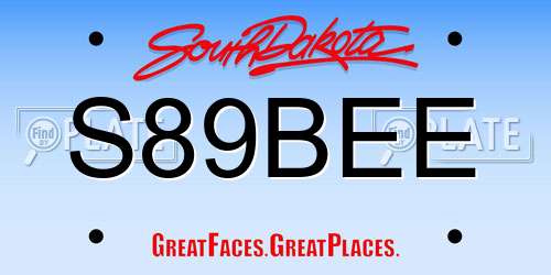 S89BEE South Dakota License Plate