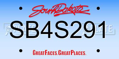 SB4S291 South Dakota License Plate