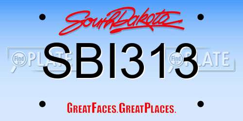 SBI313 South Dakota License Plate