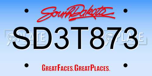 SD3T873 South Dakota License Plate