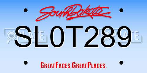 SL0T289 South Dakota License Plate