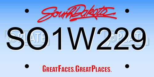 SO1W229 South Dakota License Plate