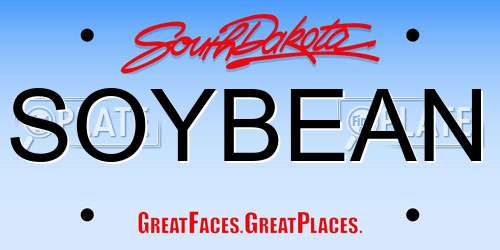 SOYBEAN South Dakota License Plate