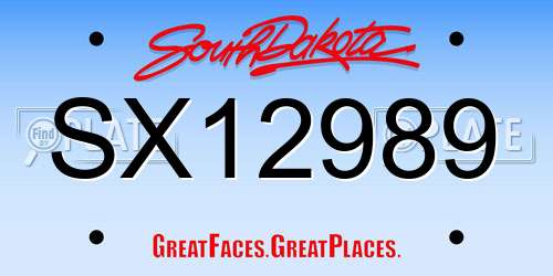 SX12989 South Dakota License Plate
