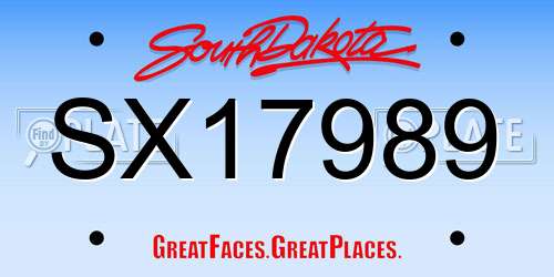 SX17989 South Dakota License Plate