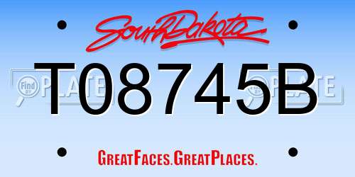 T08745B South Dakota License Plate