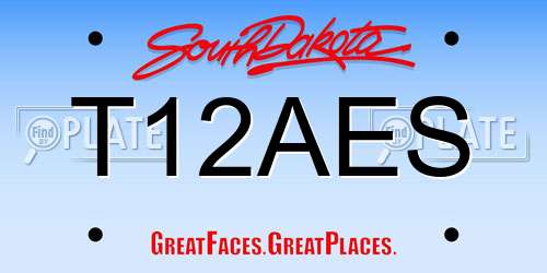 T12AES South Dakota License Plate