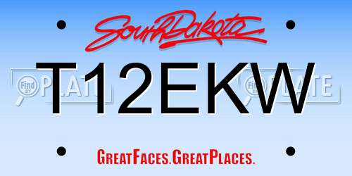 T12EKW South Dakota License Plate