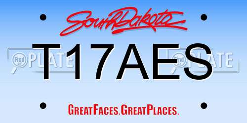 T17AES South Dakota License Plate