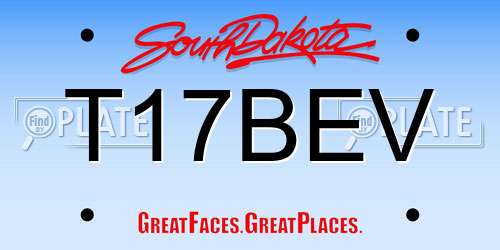 T17BEV South Dakota License Plate
