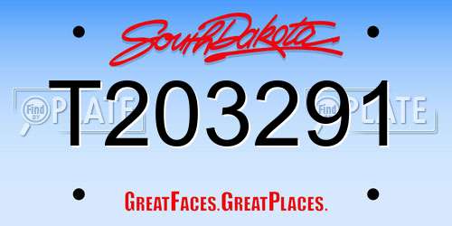 T203291 South Dakota License Plate