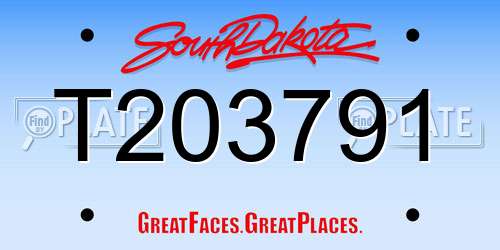 T203791 South Dakota License Plate