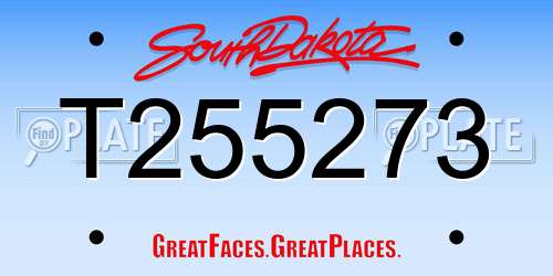 T255273 South Dakota License Plate